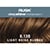 8.13B Light Beige Blonde